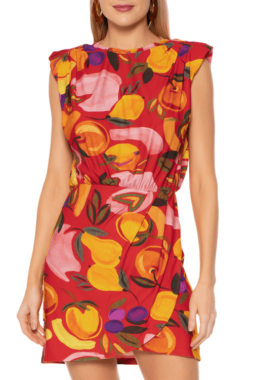 Vestido-Curto-Ombreira-Vento-de-Fruta-Farm-1