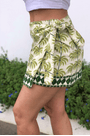 Saia-sarja-milani-coqueiros-Farm-