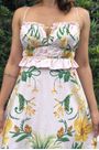 Vestido-Beleza-de-Abacaxi-Farm-2