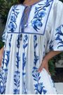 Vestido-Manga-Longa-Estampado-Antonia-Farm45