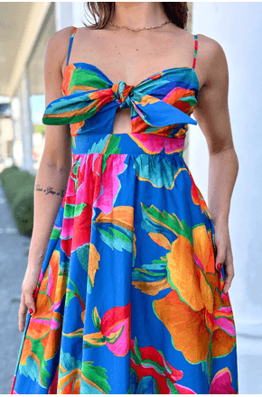 Vestido-maria-rosas-pintadas-Farm-2
