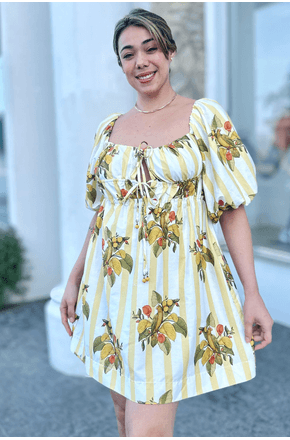Vestido-Curto-Passaro-Chic-Farm