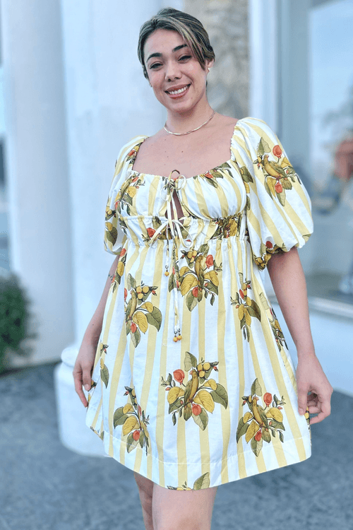 Vestido-Curto-Passaro-Chic-Farm