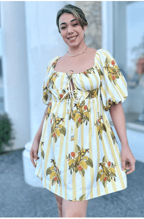Vestido-Curto-Passaro-Chic-Farm