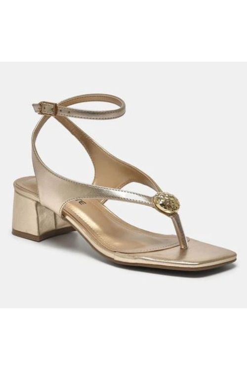 Design-sem-nome--33-