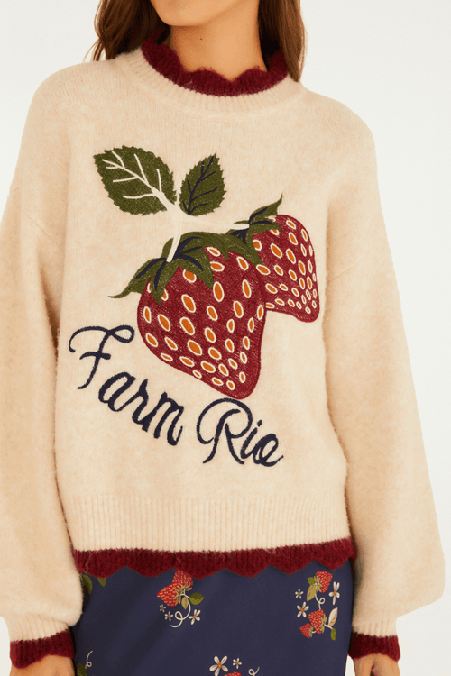 Sueter-Tricot-Morango---Farm-Rio